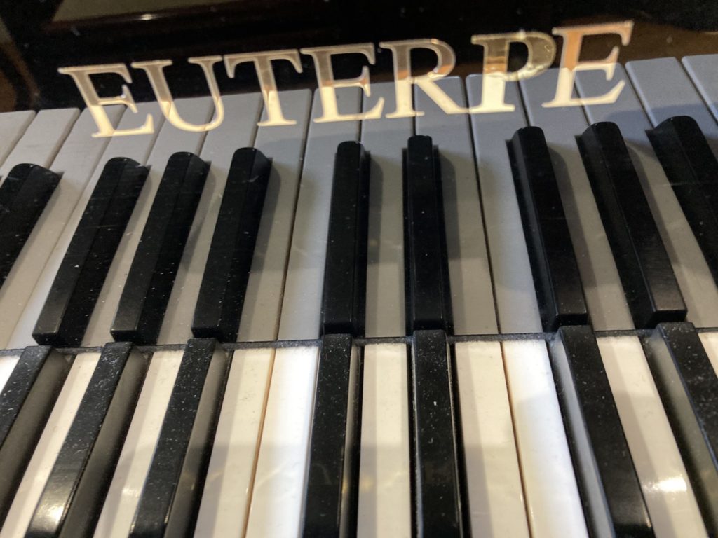 Occasion de 1995 en excellent état. Piano faisant parti des choix de partenariat de l'Entreprise BECHSTEIN.